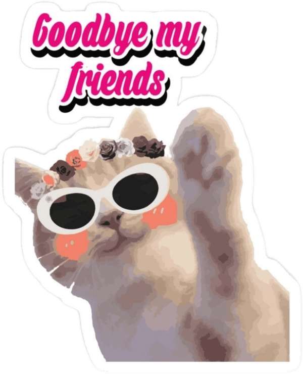 Sticker bye meme mèo
