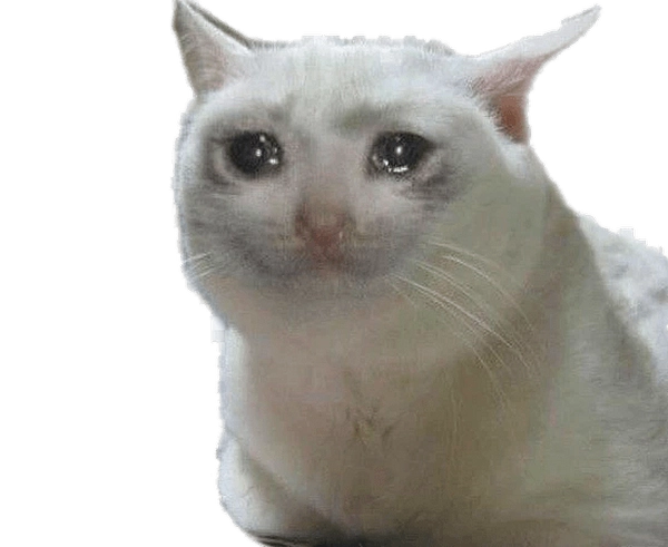 Bựa dán Nhãn vui nhộn cực độc đáo