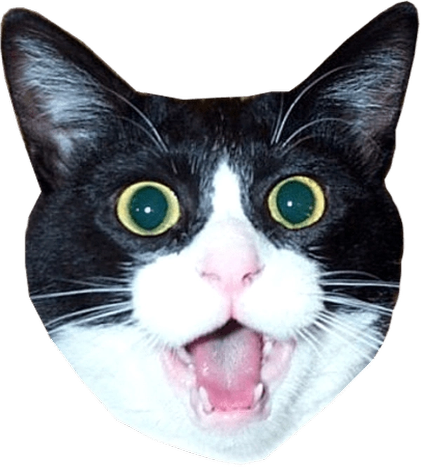 Dán bựa Nhãn vui cười cực độc đáo