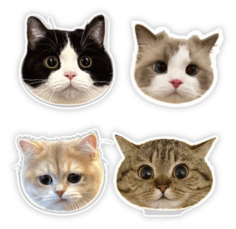Sticker mèo vô tri hài lầy