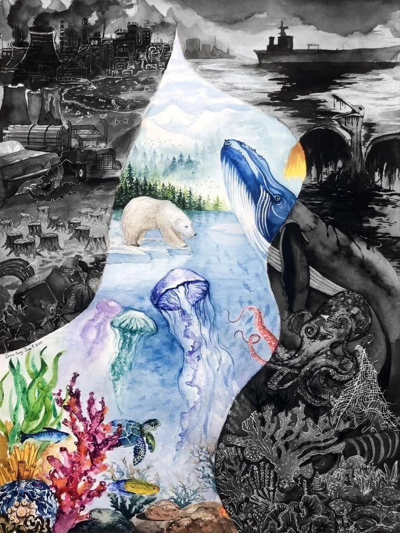 Tranh cổ động hòa bình sự đối lập môi trường sống