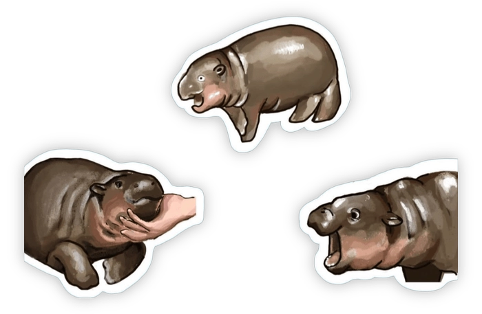 moo deng sticker pack dễ thương 
