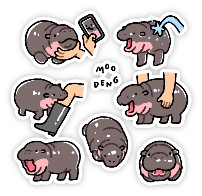 sticker moo deng phiên bản mới 