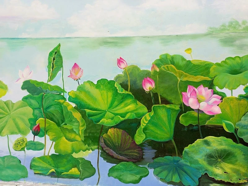 hoa sen tranh vẽ vẽ tay 