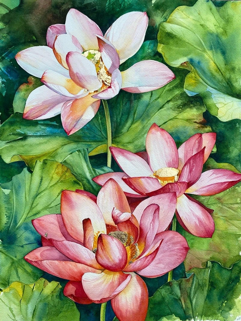 tranh vẽ hoa sen khổ lớn 