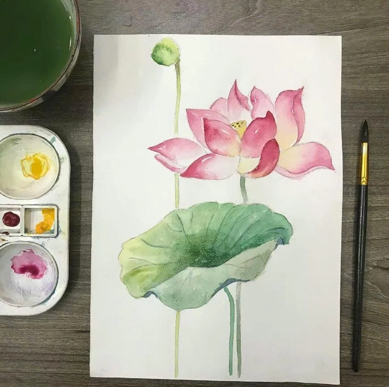 tranh vẽ hoa sen thiền định 