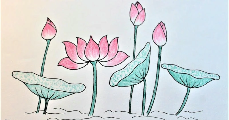 tranh vẽ hoa sen nhẹ nhàng 