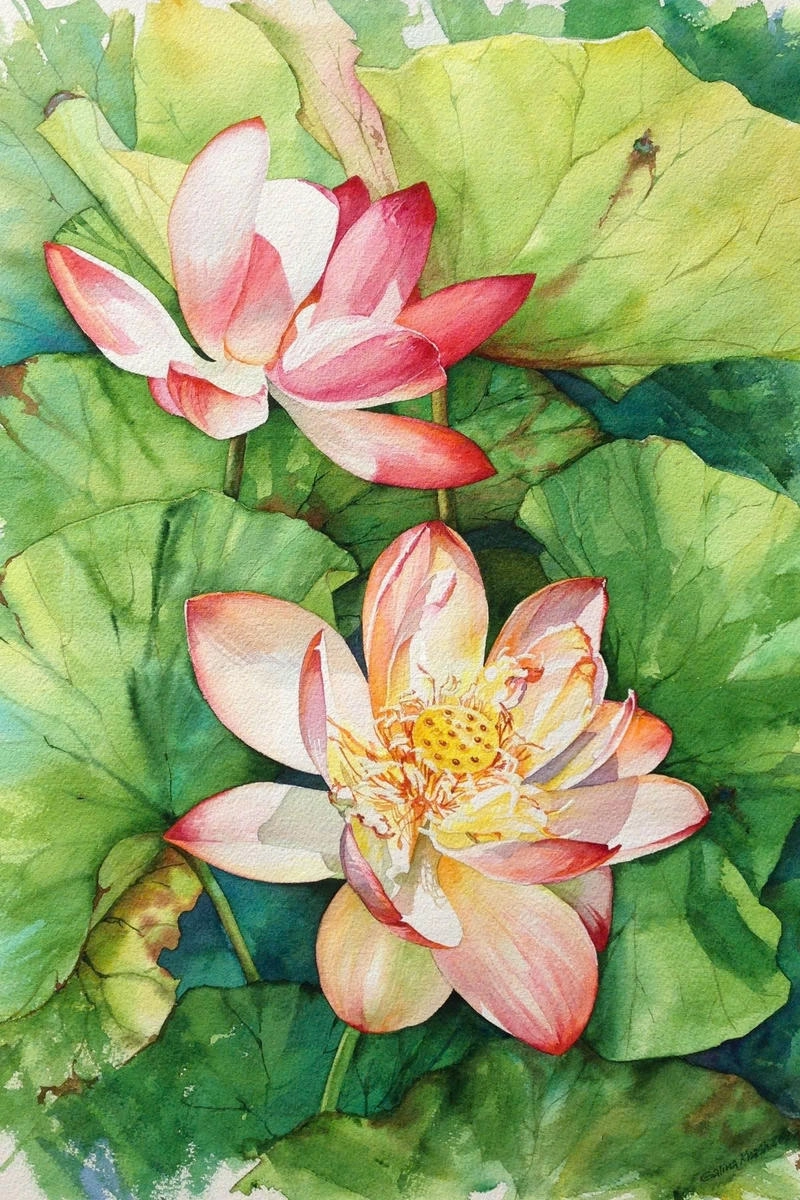 tranh vẽ hoa sen cổ điển 