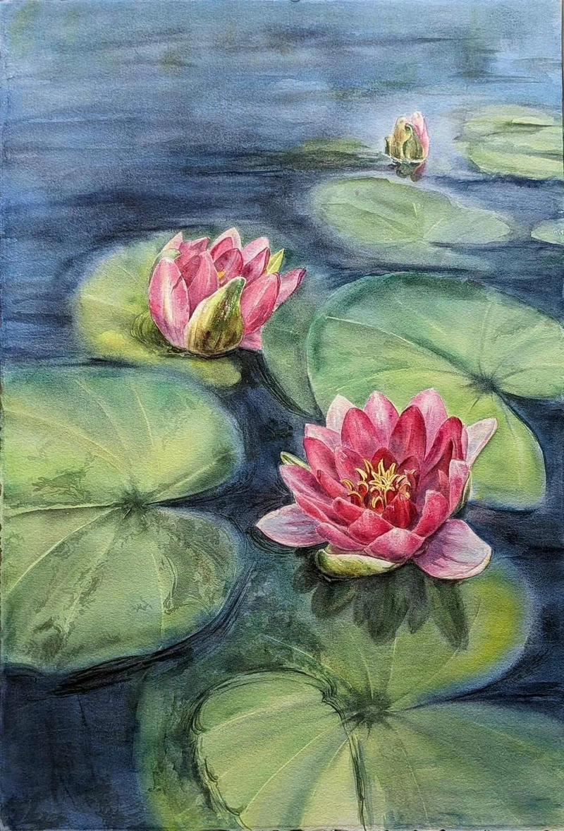 hoa sen tranh vẽ đẹp tinh tế 