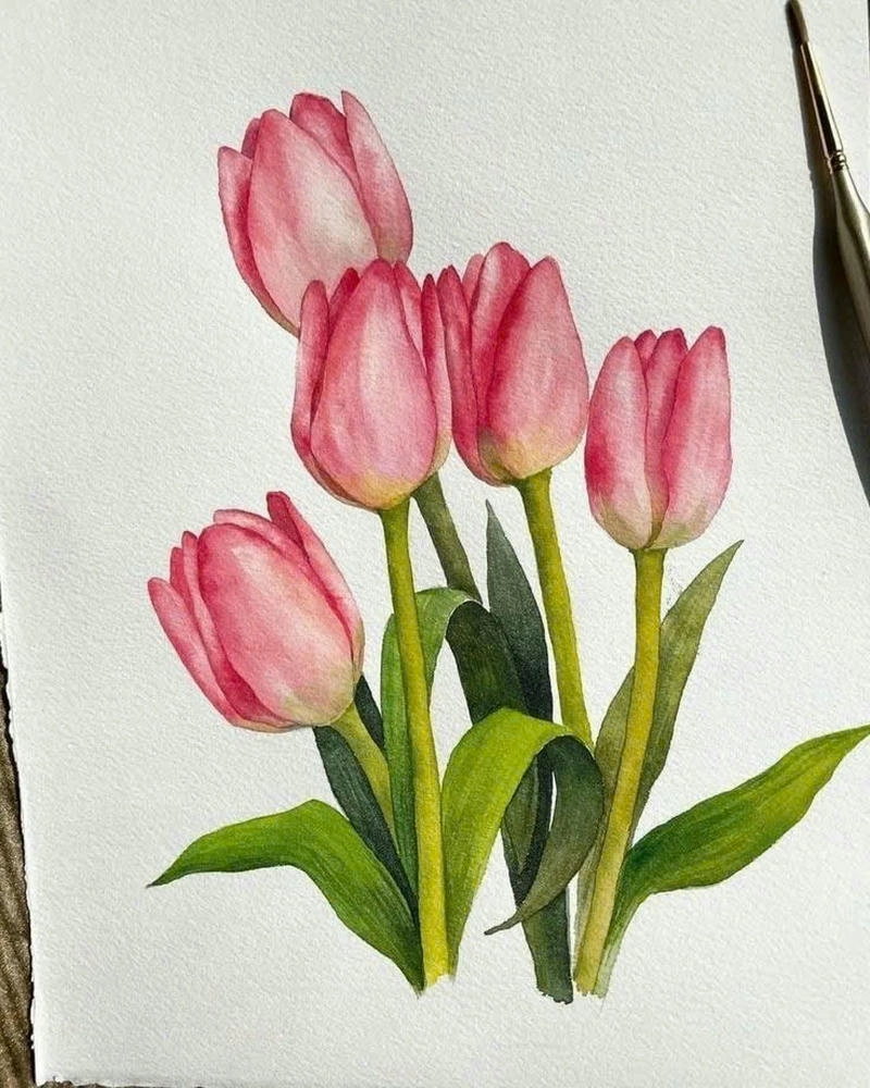 tranh vẽ hoa tulip bằng tay nghệ thuật 