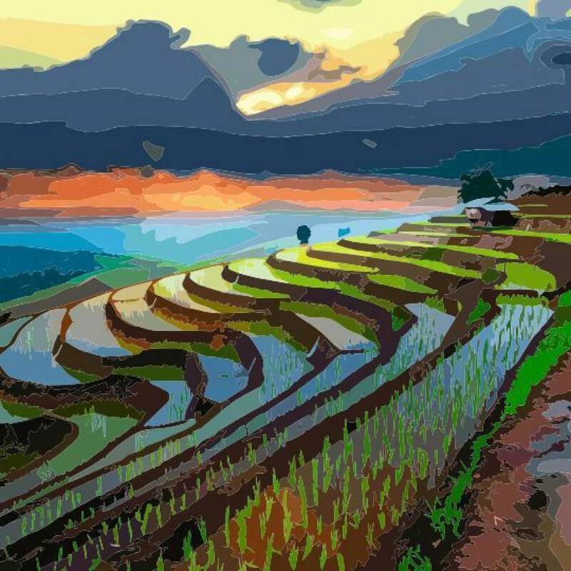 hình vẽ ruộng bậc thang phong cảnh vùng cao 