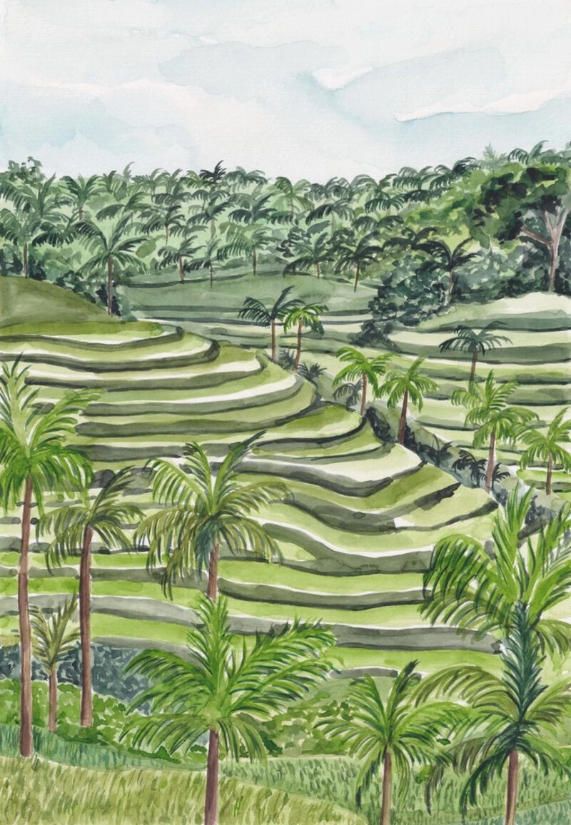 bài vẽ tranh ruộng bậc thang phong cảnh 
