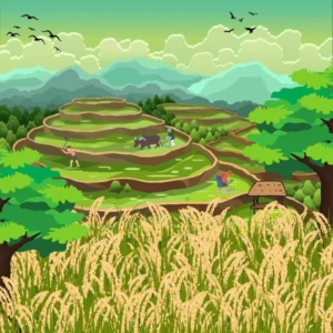 vẽ tranh đề tài ruộng bậc thang dễ thực hiện