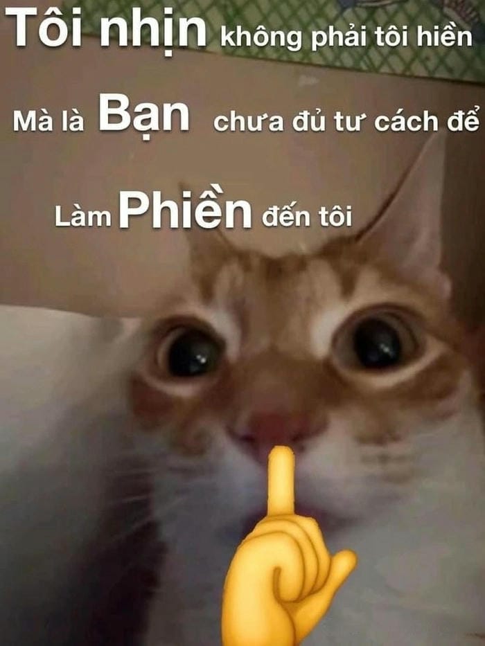 Ảnh suỵt meme vui nhộn cực độc đáo