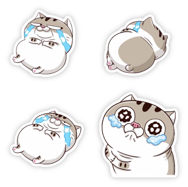 hình sticker mèo ami bụng bự 