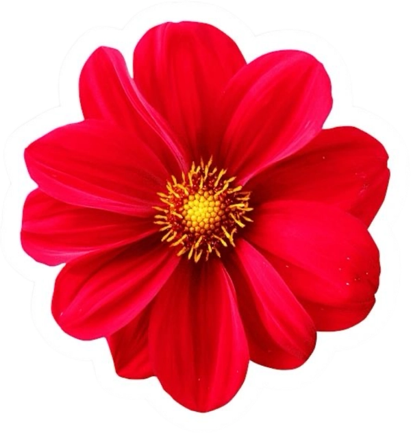 Sticker đỏ vintage cổ điển