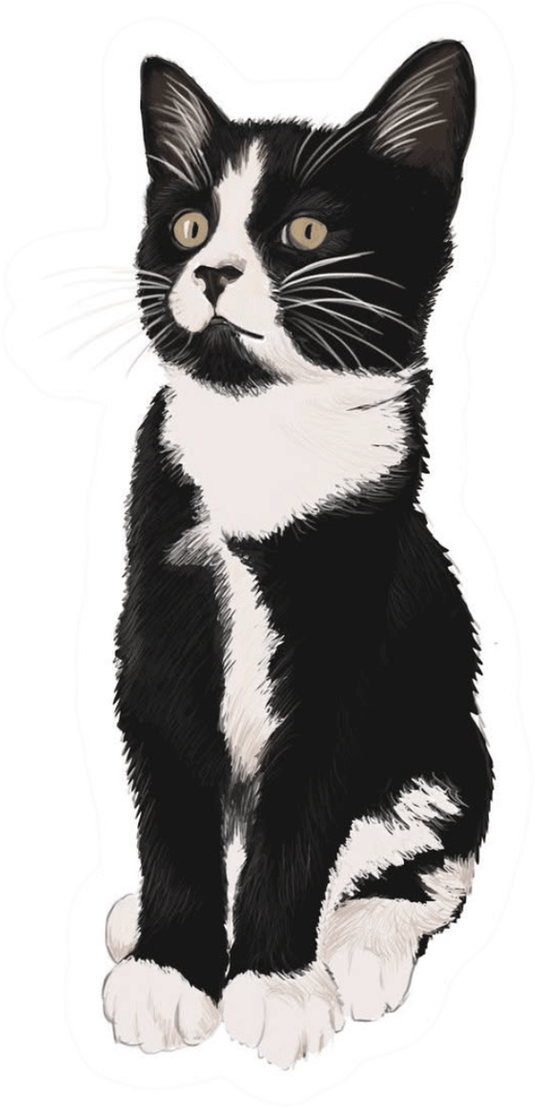 Sticker mèo đen đáng yêu cute