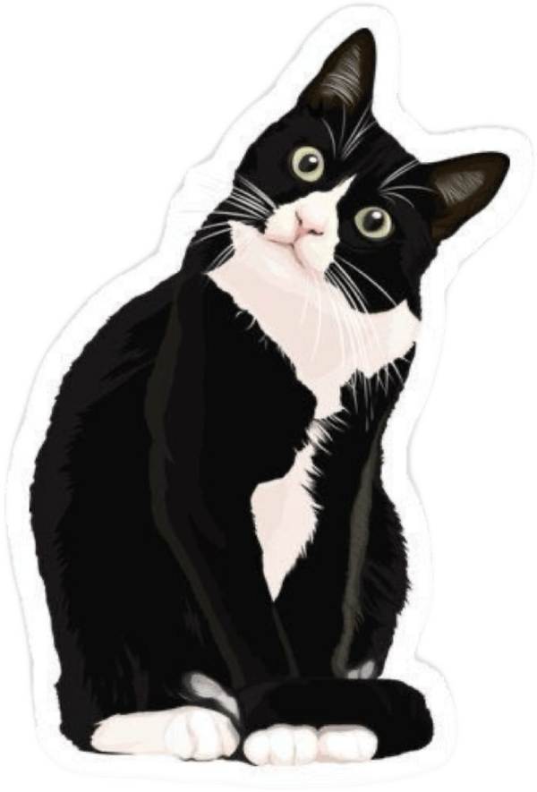 Sticker mèo đen kawaii