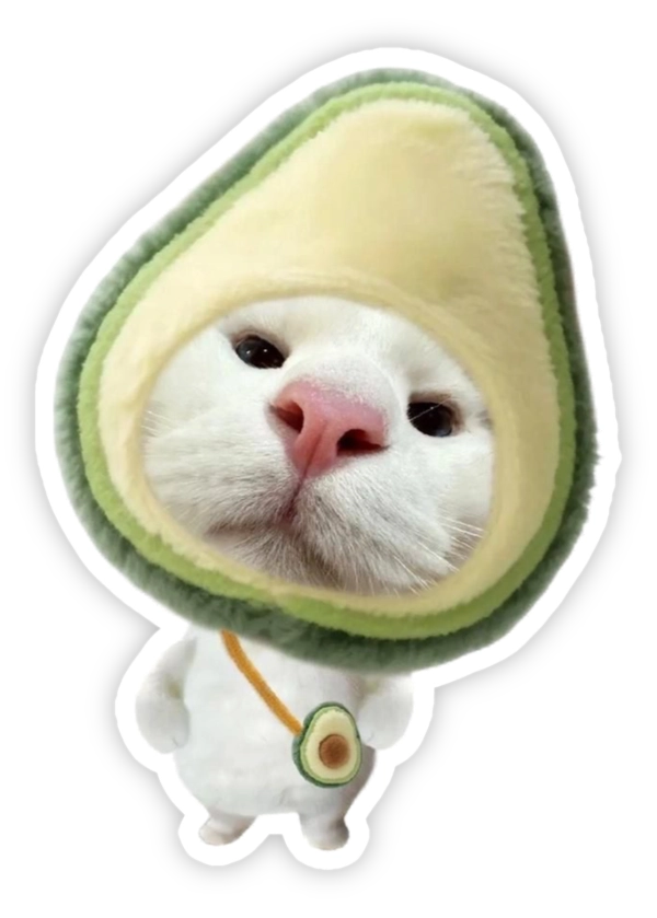 Sticker mèo méo meo bơ