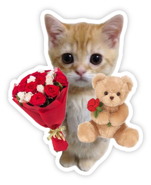 Sticker mèo méo meo đáng iu