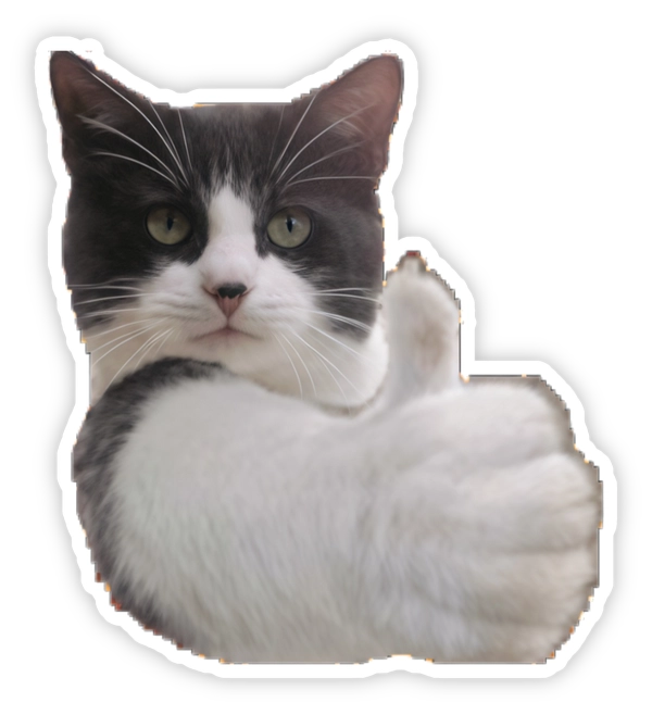 Sticker mèo méo meo like
