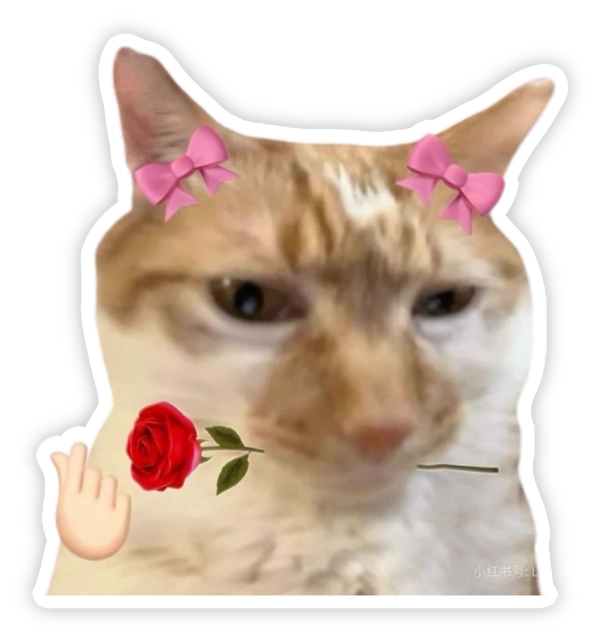 Sticker mèo méo meo meme