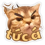 Sticker mèo méo meo tức giận