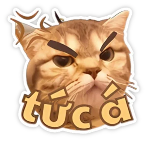 Sticker mèo méo meo tức giận