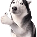 Sticker moca chó điên like