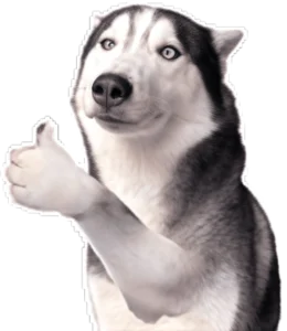 Sticker moca chó điên like