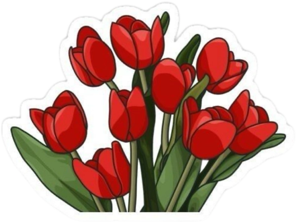 Sticker nền đỏ