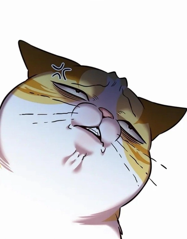 Sưu tầm Ảnh meme ko chữ độc đáo trên mạng