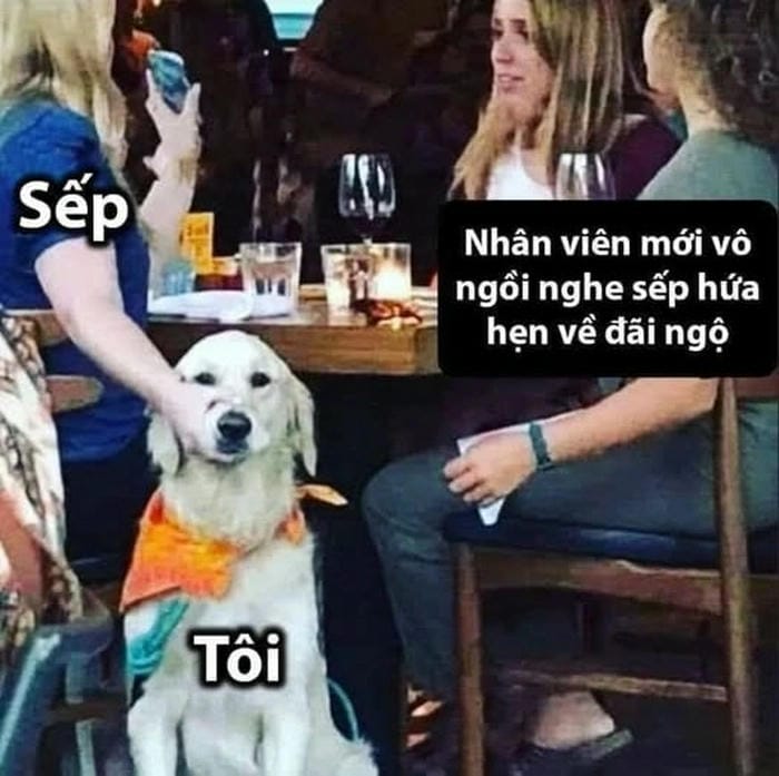 Suỵt Ảnh meme hài hước vui nhộn cực