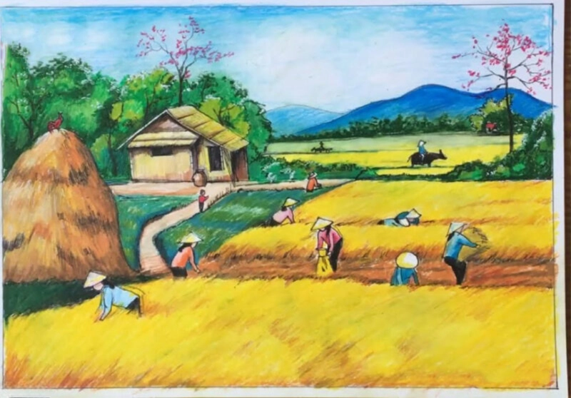 Tranh phong cảnh mùa gặt