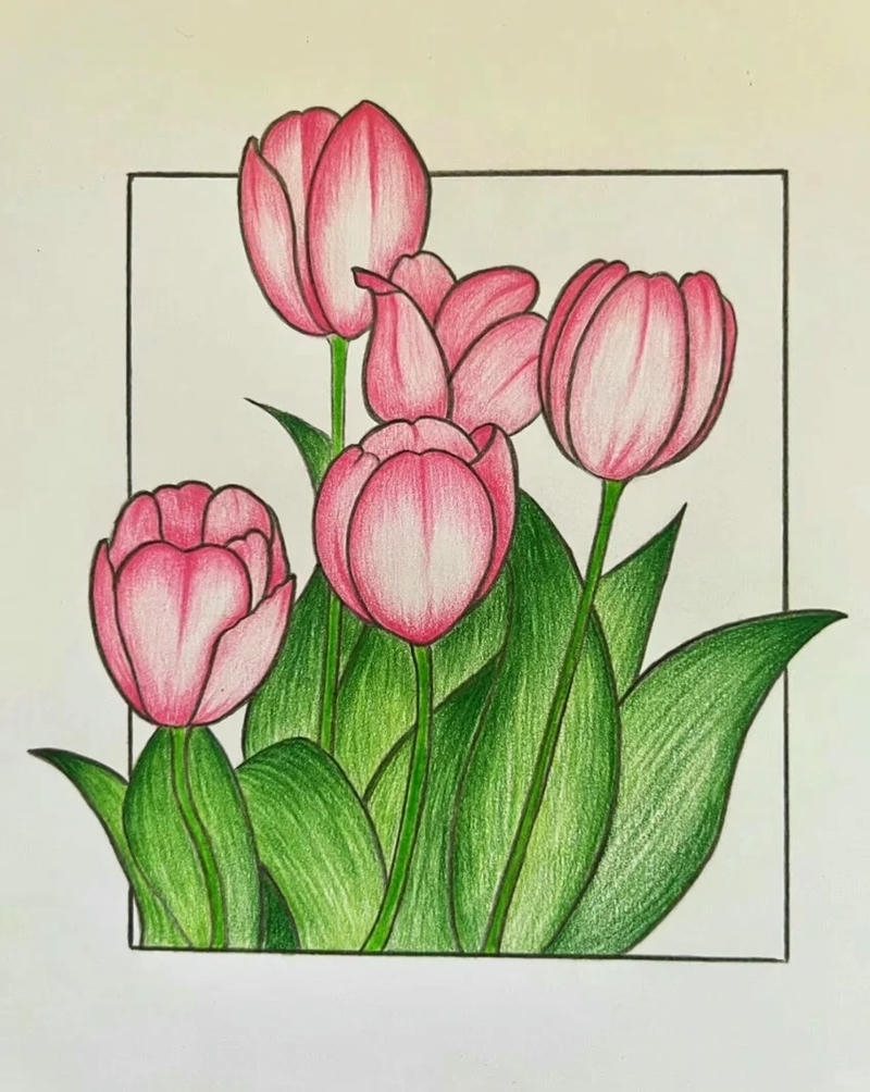 Vẽ tranh tĩnh vật hoa tulip trắng tinh khiết nền xanh