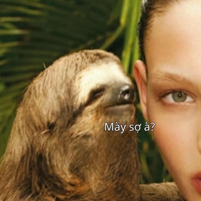 meme bạn sợ à con vật