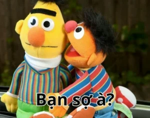 meme bạn sợ à heef