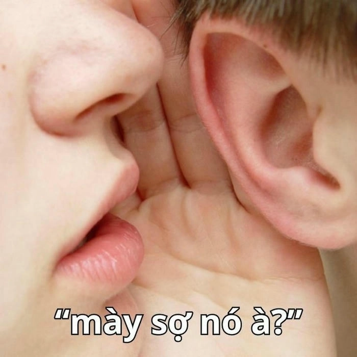 meme bạn sợ nó à