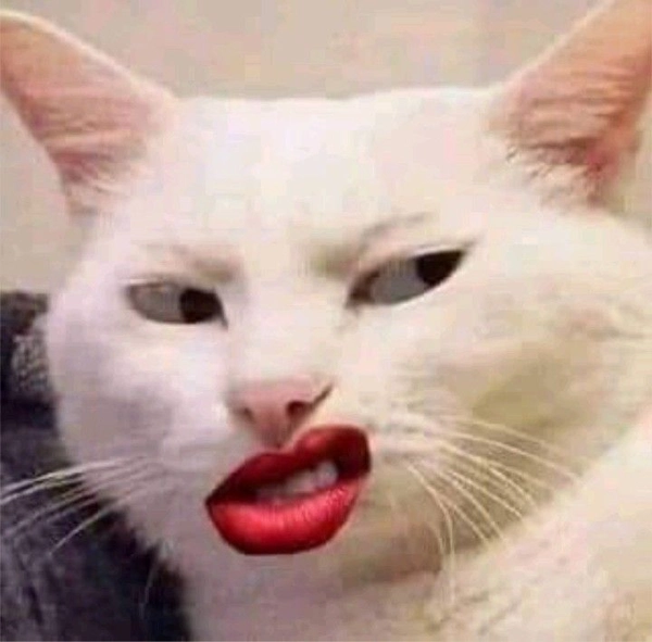 meme con khỉ liếc