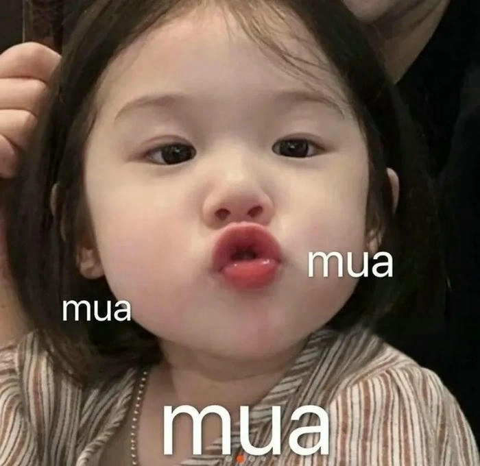 meme hôn moa