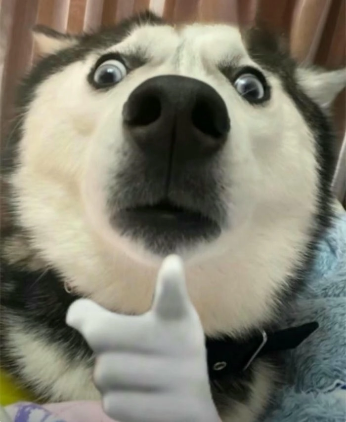 meme khinh bỉ chỉ tay