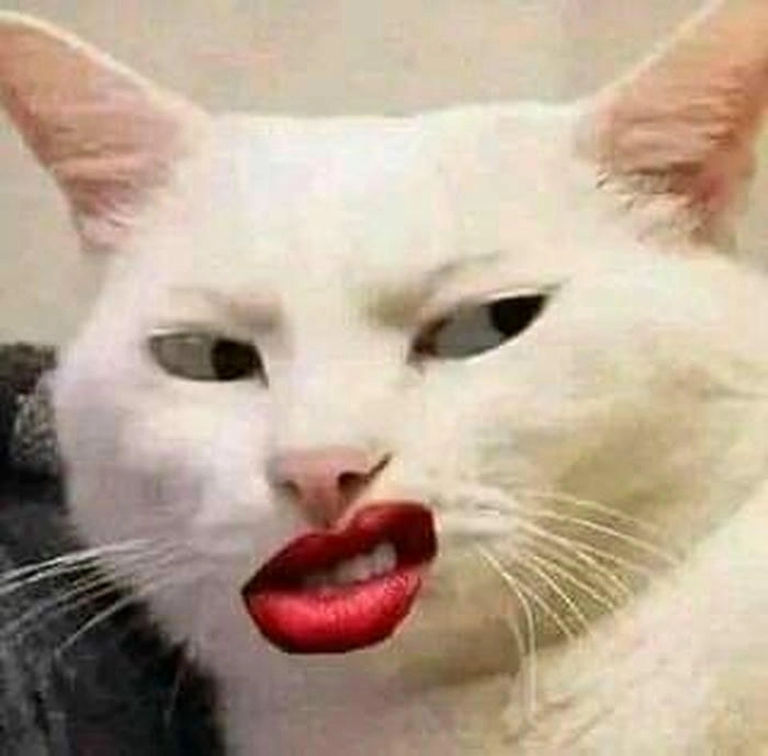meme khinh bỉ meof nheechs meps