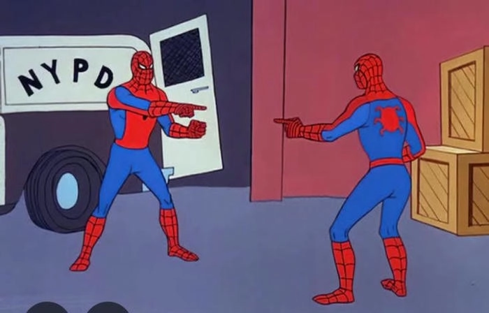 meme người nhện sinh đôi