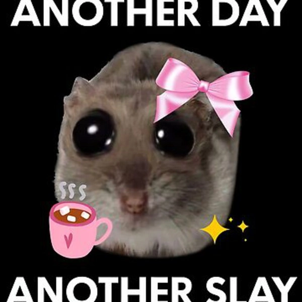 meme slay girl ngầu