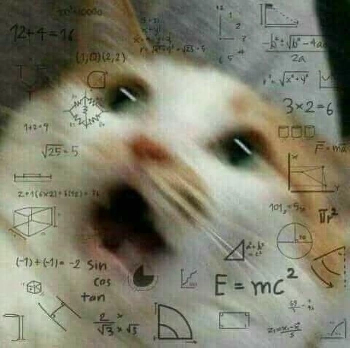 meme mèo suy nghĩ
