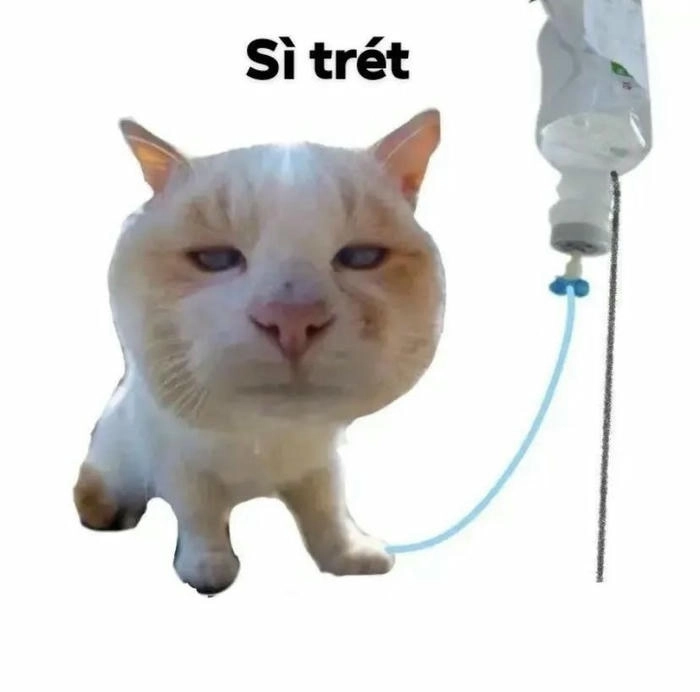 meme suy nghĩ sì choét