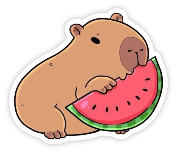 hình ảnh chibi capybara sticker 