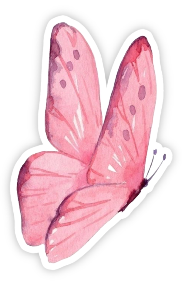 sticker con bướm hồng