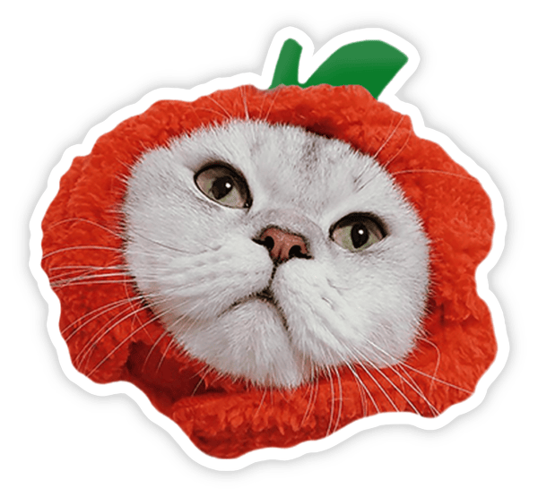 sticker dễ thương icon