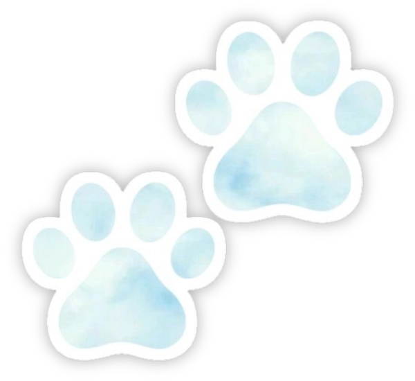 sticker màu xanh dương messenger